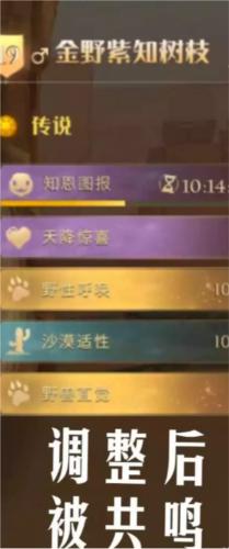 哈利波特魔法觉醒宠物共鸣方法介绍2