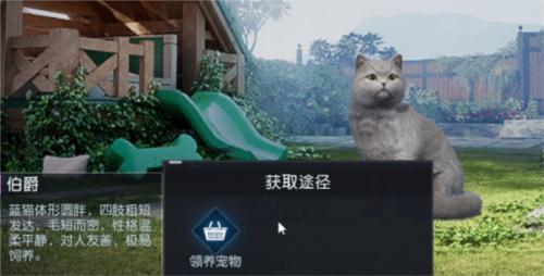 黎明觉醒宠物系统怎么解锁12
