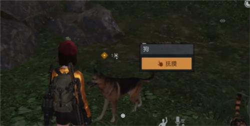 黎明觉醒宠物系统怎么解锁8